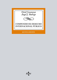 Compendio de derecho internacional público